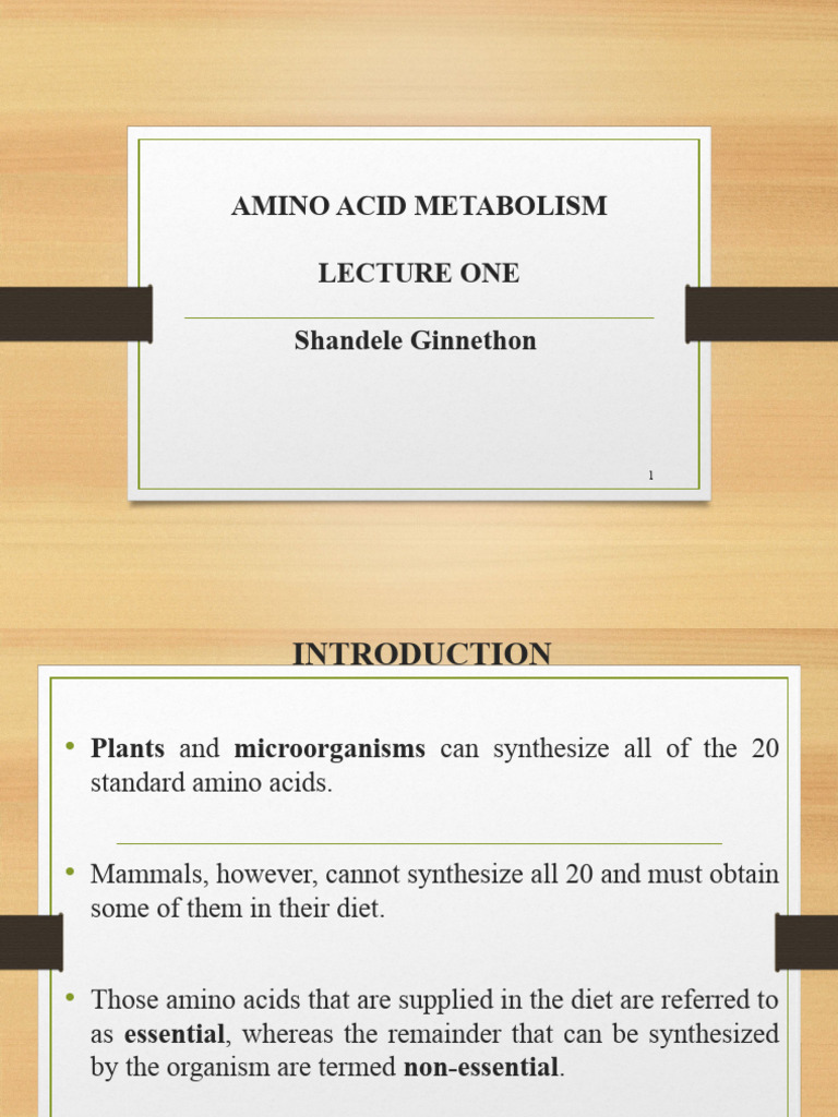 Amino Acid Metabolism Overview | PDF | Amino Acid | Biosynthesis