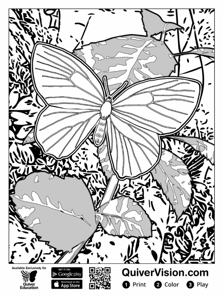 Butterfly Colouring Images Pdf