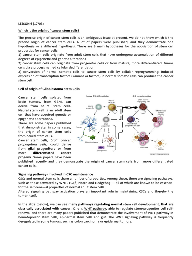 Origins and Signaling of Cancer Stem Cells | PDF | Cell Signaling ...