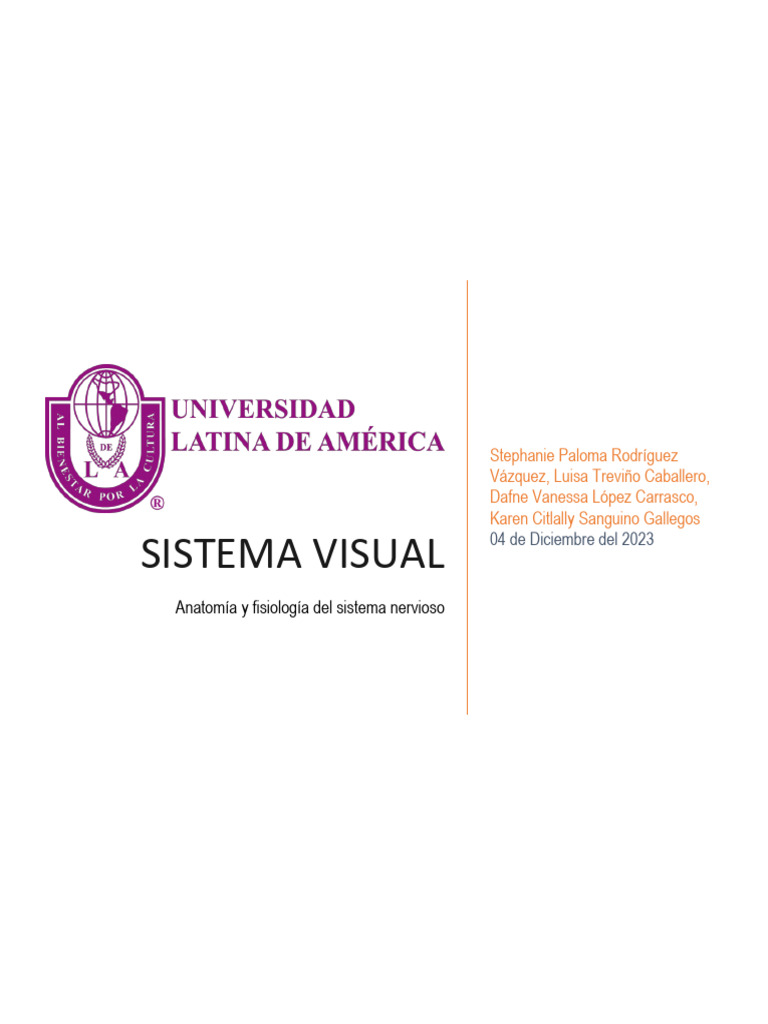 Trabajo Anatomia Sistema Visual Pdf Ojo Humano Percepción Visual