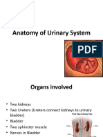 Urinary