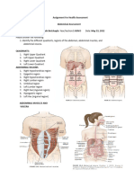 Assignment For Abdominal Assessment