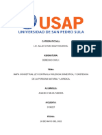 Ley Violencia Domestica, Persona Juridica y Natural