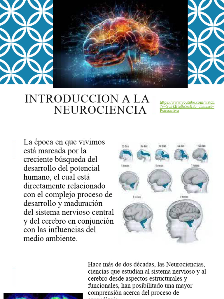 Introducción a la Neurociencia | PDF | Cerebro | Las emociones