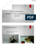 Aula Disparo - Ex Neurologico - Localização Da Lesão