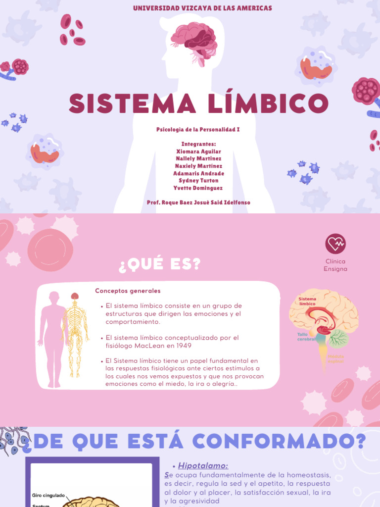 Funciones y Alteraciones del Sistema Límbico | PDF | Las emociones ...