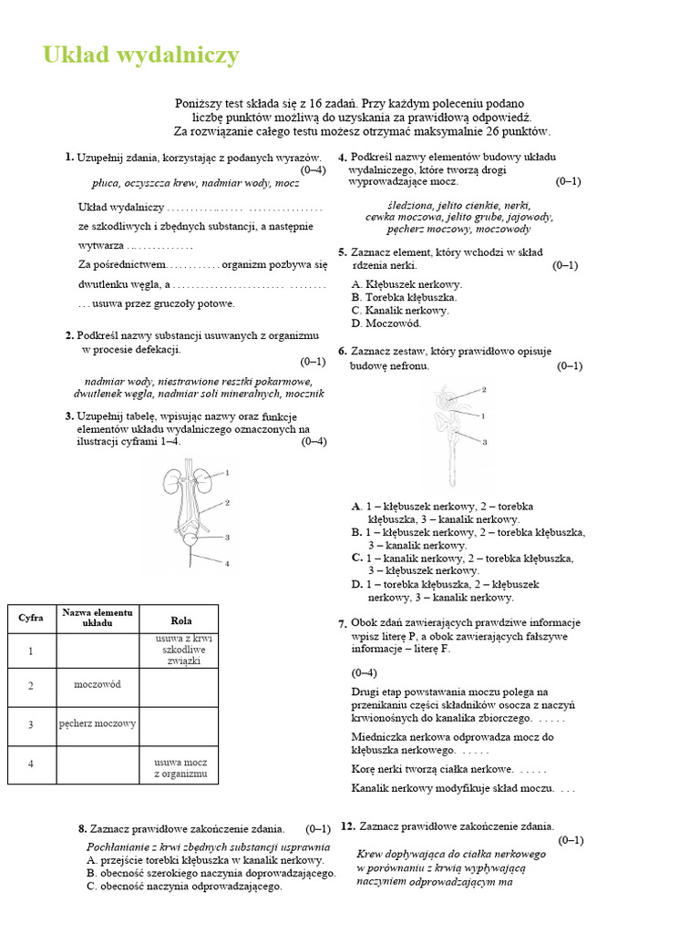 Ukad Wydalniczy Biologia 2 | PDF