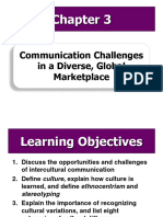 Communication Challenges in Diverse Global Marketplace