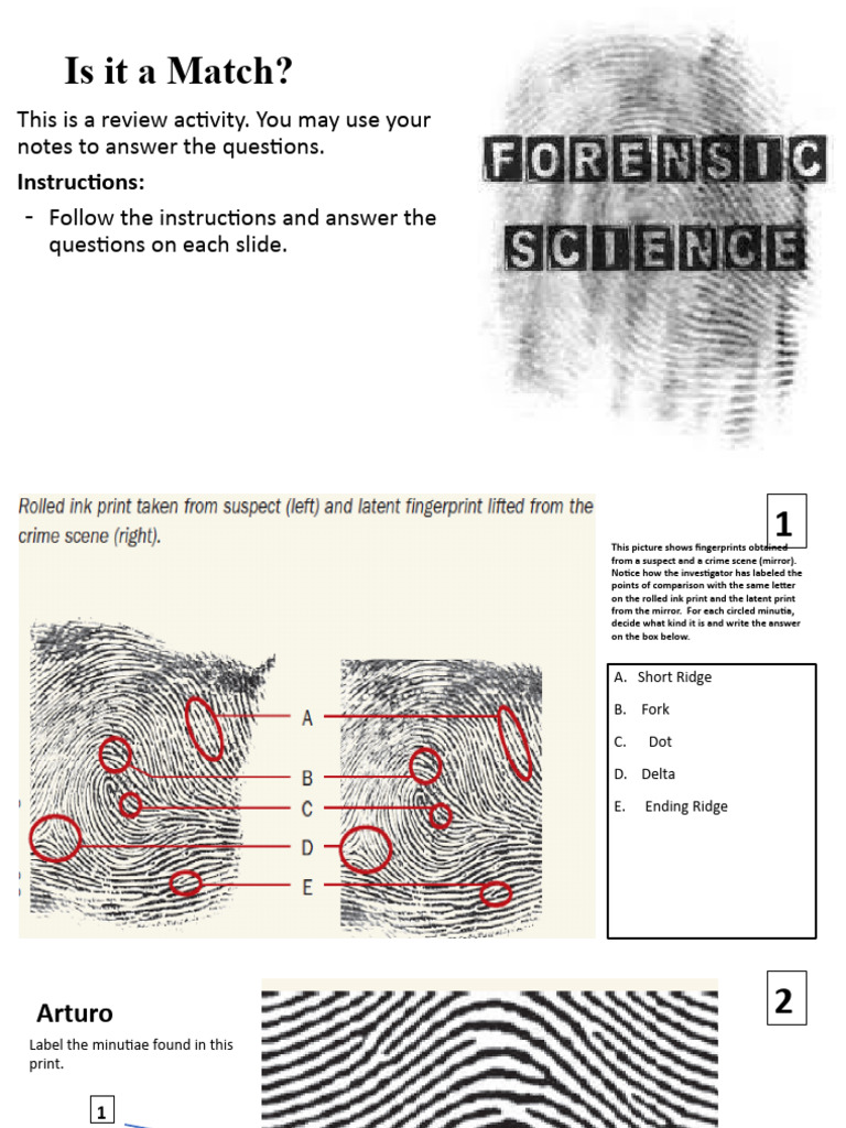 Fingerprint Comparison Activity Guide | PDF | Home & Garden | General ...