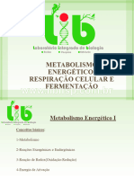 Metabolismo - Energetico Respiração