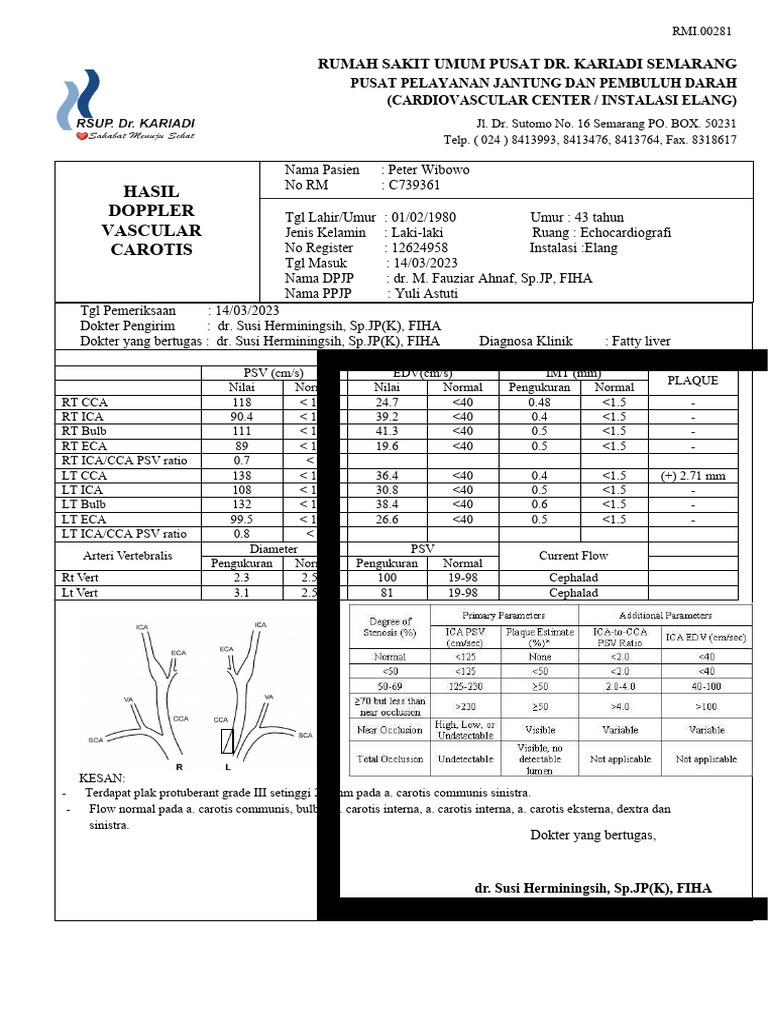 Laporan dus carotis lengkap pdf