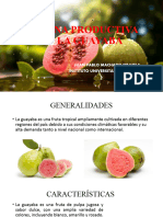 Cadena Productiva de La Guayaba