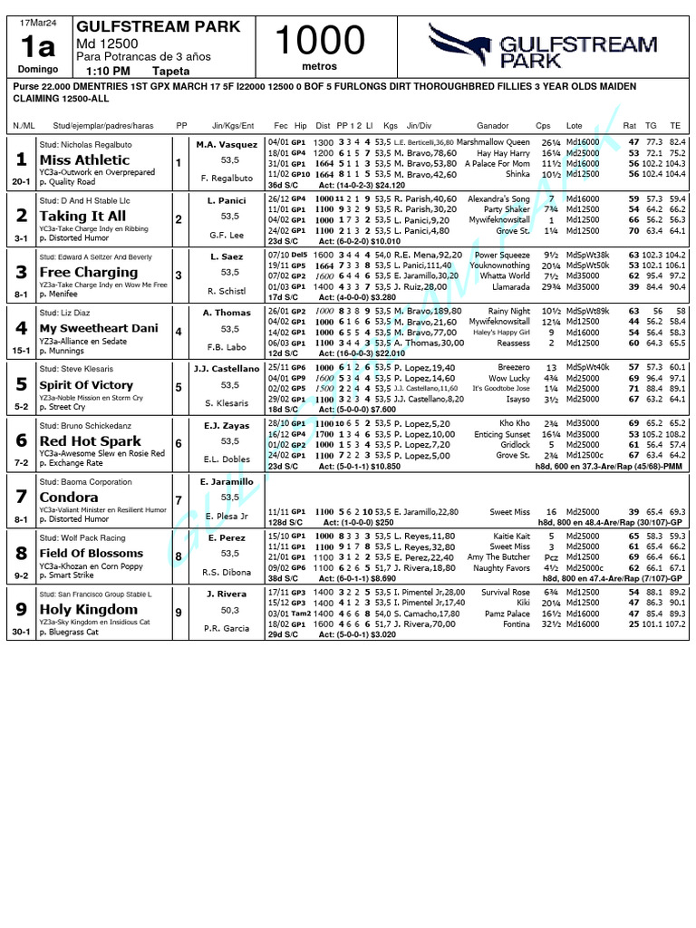 Gulfstream Park Race Entries March 17 | PDF | Individual Horses ...