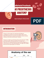 Ear Prosthesis