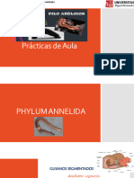 05 Paula Anélidos