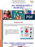 Capacitación Anemia, Hipertensión y Diabetes