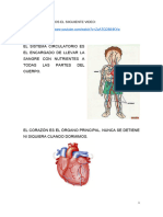 Sistema Circulatorio