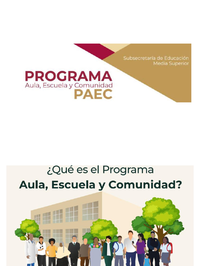 Componentes del PAEC en Educación | PDF | Escuelas | Salón de clases