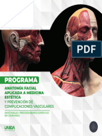 Brochure Anatomia Facial