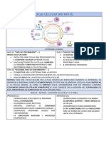 Ciclo Celular - Semana 13