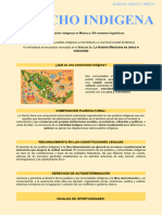 Existen 62 Pueblos Indígenas en México y 364 Variantes Lingüísticas