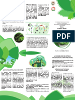 Triptico Economia Verde