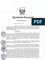 RD 028 2023 LP DE - Directiva Modificada