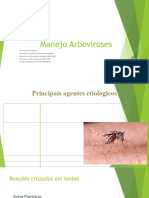 Manejo Arboviroses 2024 - Simplificado