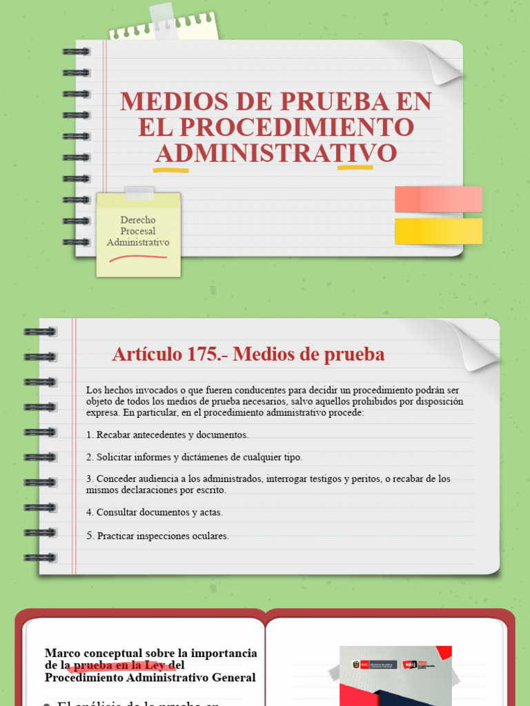 Medios de Prueba Formato | PDF | Justicia | Crimen y violencia