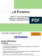 3.6 (Lesson 1) Proteins LP