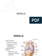 Rodilla