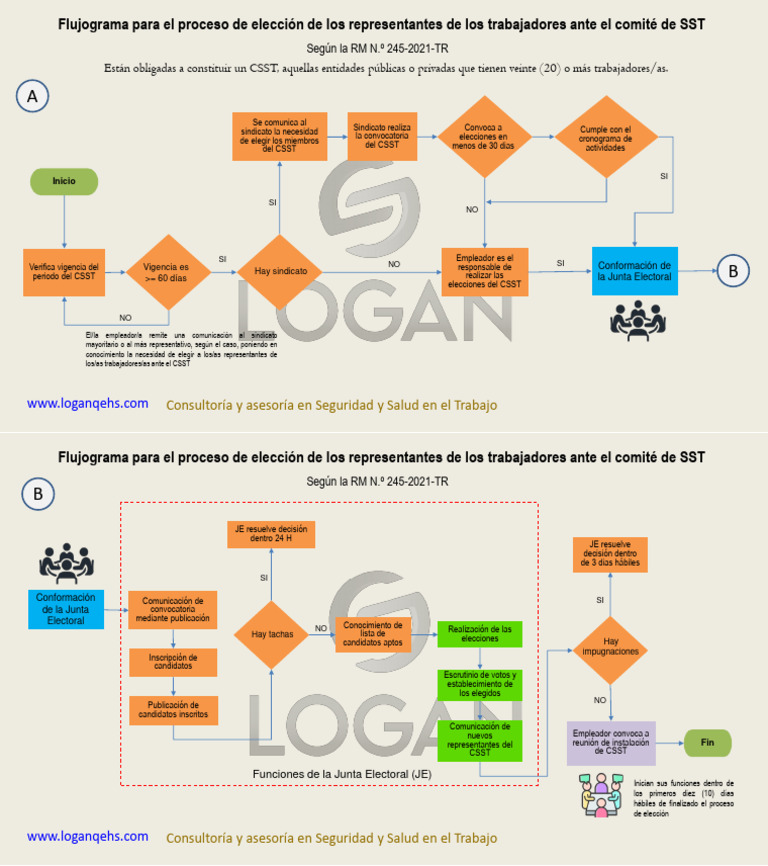 Proceso de Elección del CSST | PDF | Gobierno | Elecciones