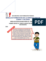 Modulo Formativo Incompleto - Cuero y Calzado