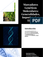 Wepik Marcadores Geneticos Moleculares Generalidades Importancia y Tipos 20231128133939CZl1