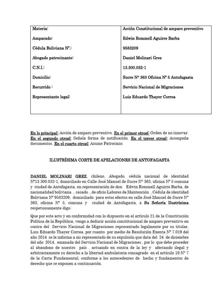 Modelo Amparo | PDF | Constitución | Gobierno