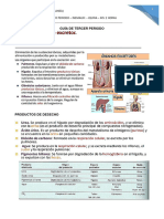 Guía Biología Once - Tercer y Cuarto Periodo - 2020