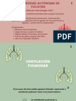 Ventilación Pulmonar e Intercambio Gaseoso