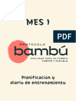 DiarioBabyBambu Mes1