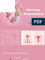 Sistema Reprodutor