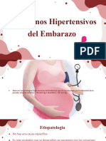 THP Del Embarazo