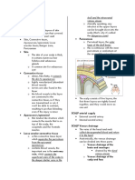 Head & Neck Anatomy (Anatomy and Kinesiology)