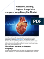 Artikel Sistem Peredaran Darah