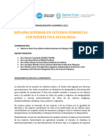 Programa Académico-Diploma Superior en Estudios Feministas Con Perspectiva Decolonial