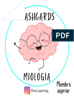 Flashcards Miologia Miembro Inferior