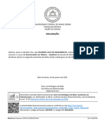 SEI - UFMG - Declaração Ricardo Nascimento
