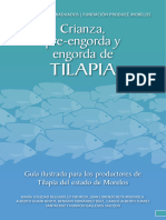 Manual Producción de Tilapia