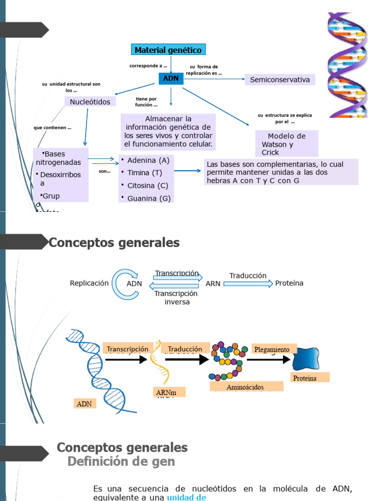 COMPL Guia 2 Biología ADN | PDF | Rna | Adn