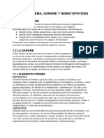 Tema 1 - Lab de Hema, Sangre y Hematopoyesis