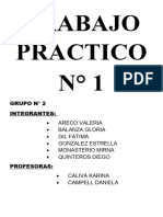 Trabajo Practico Salud Mental