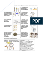 Actividad Evidencias Evol